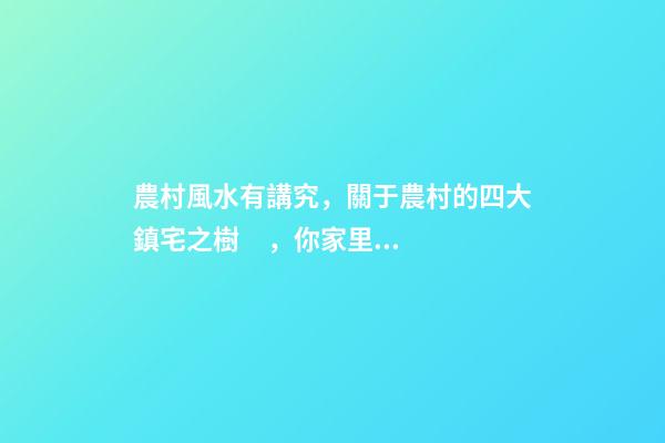 農村風水有講究，關于農村的四大鎮宅之樹，你家里種了嗎